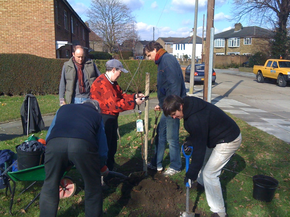 Planting Crab Apple trees on the corner of Craig / Randel Road